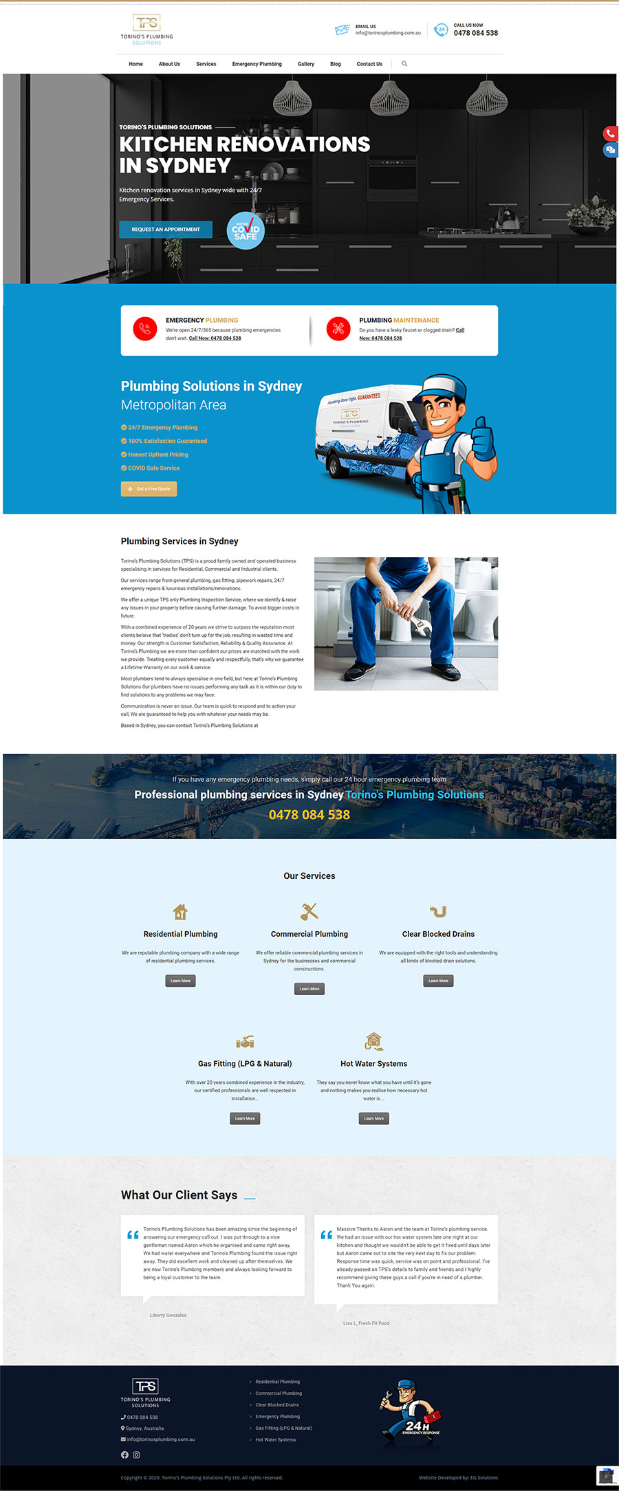 Torino's Plumbing Solutions - Home Page Design